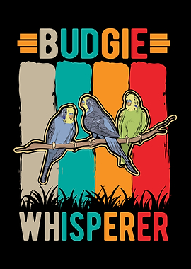 Budgie Gift Parakeet