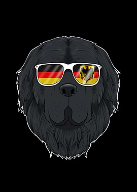 Newfoundland Germany