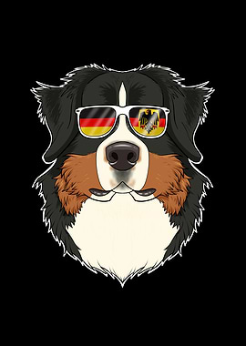 Bernese Mountain Dog