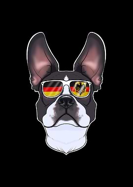 Boston Terrier Germany
