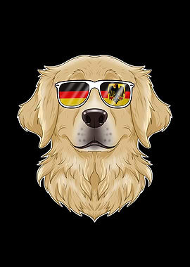 Golden Retriever Germany