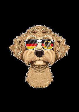 Labaradoodle Germany