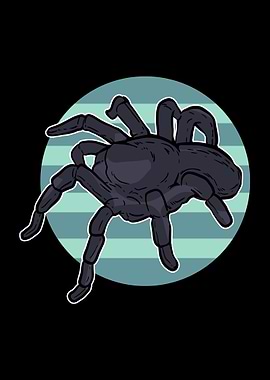 Spider Tarantula Pop