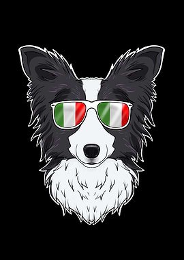 Border Collie Italy