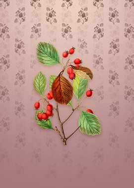 Plum Leaf Thorn Flower