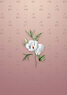 Lilac Hibiscus Flower