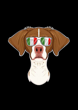 Brittany Italy Sunglasses