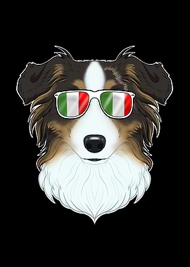 Australian Shepherd Italy