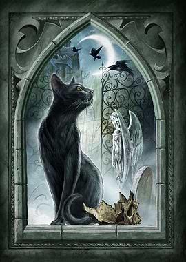 Through Midnight's Gate