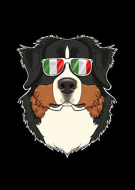 Bernese Mountain Dog Italy