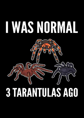 Funny Spiders Tarantula