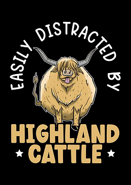 Highland Cattle