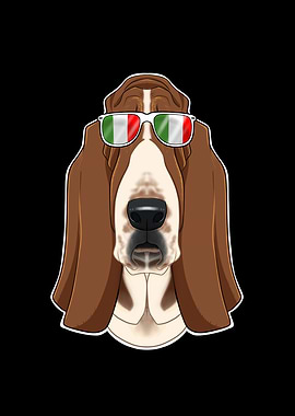 Basset Hound Italy