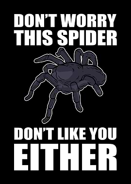 Funny Spiders