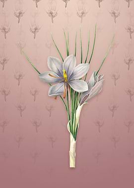 Vintage Autumn Crocus