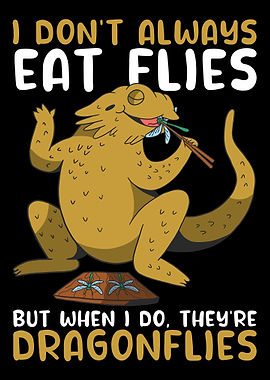 Funny Bearded Dragon