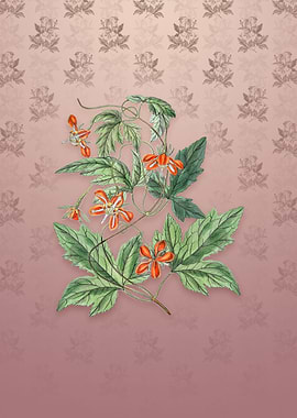 Vintage Red Loasa Flower