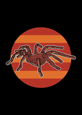 Tarantula Retro