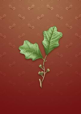 Vintage Bear Oak Leaves