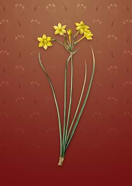 Vintage Rush Daffodil