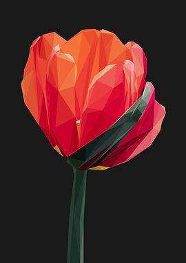 Red Orange Tulip Flower