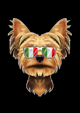 Yorkshire Terrier Italy