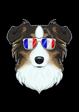 Australian Shepherd France
