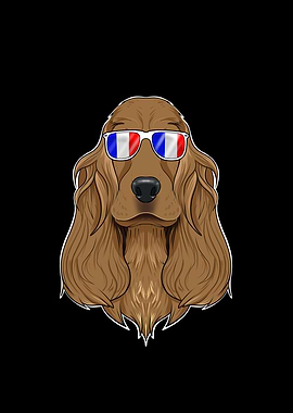 Cocker Spaniel France