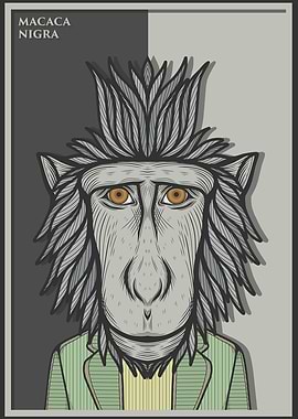 Black Crested Macaque