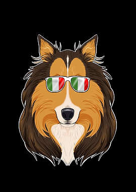 Collie Italy Sunglasses