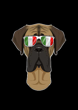 Mastiff Italy Sunglasses