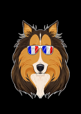 Collie France Sunglasses