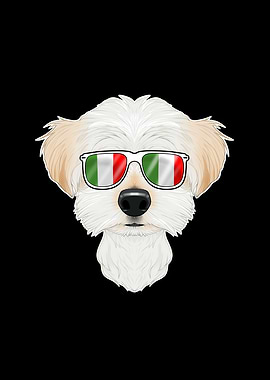 Maltese Italy Sunglasses
