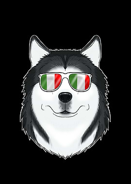 Husky Italy Sunglasses