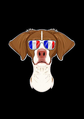 Brittany France Sunglasses