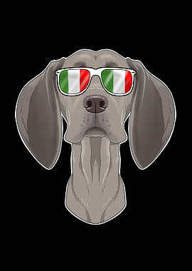 Weimaraner Italy