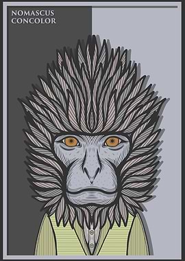 Black Crested Gibbon