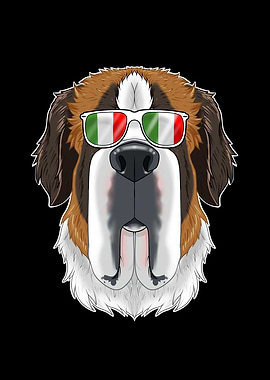 Saint Bernard Italy
