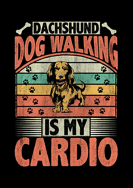 Dachshund Dog Walking