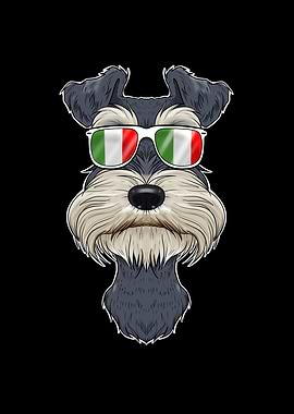 Miniature Schnauzer Italy