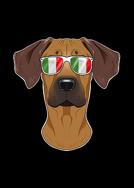 Rhodesian Ridgeback Italy