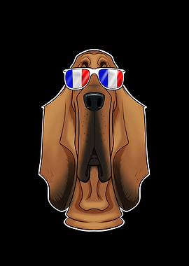 Bloodhound France