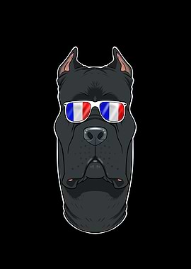 Cane Corso France