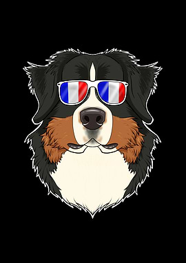 Bernese Mountain Dog