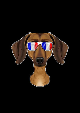 Dachshund France