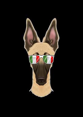 Malinois Italy Sunglasses