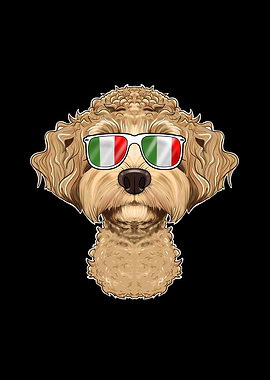 Labaradoodle Italy