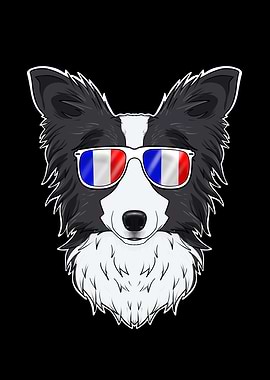 Border Collie France