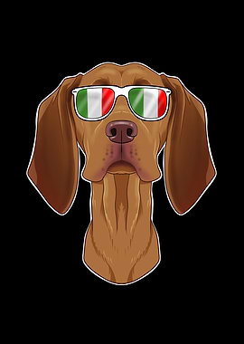 Vizsla Italy Sunglasses