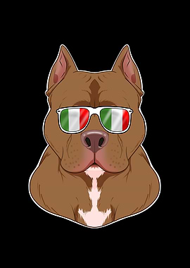 Pitbull Italy Sunglasses